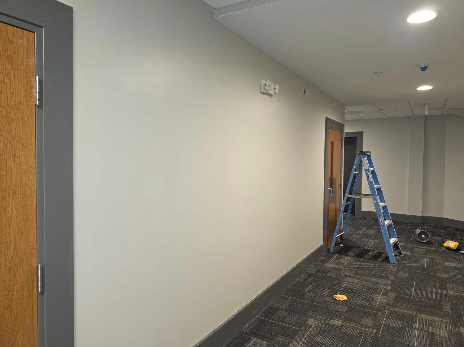 Finished corridor with smooth painted wall, painted base and new carpet tile